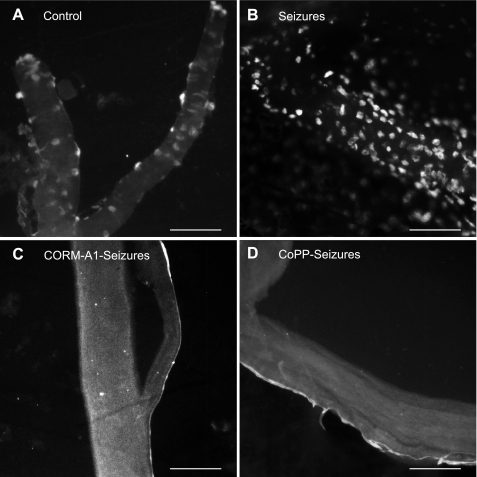 Fig. 9.