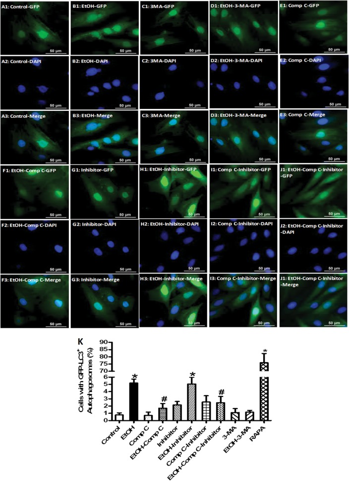 Figure 6