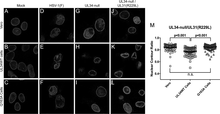 FIG 11