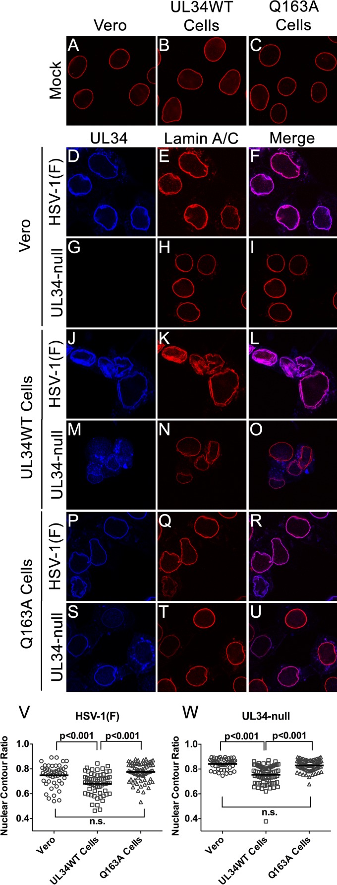 FIG 6