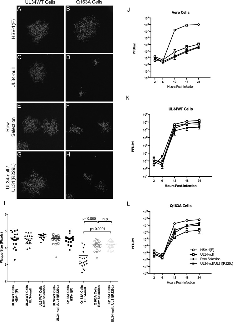 FIG 10