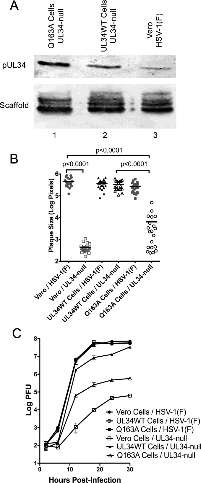 FIG 2