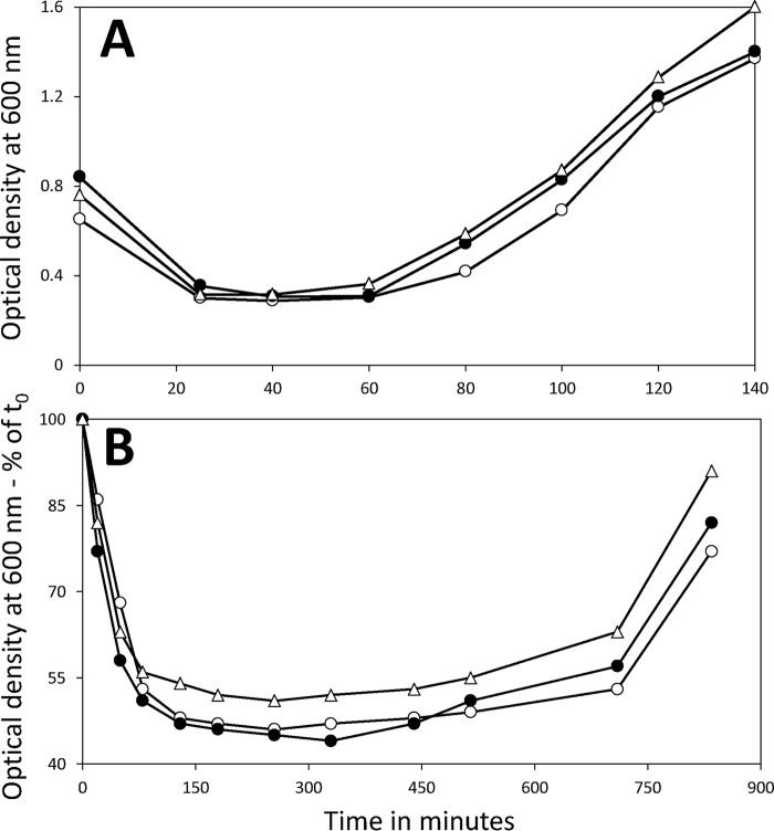 FIG 2