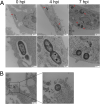 FIG 2