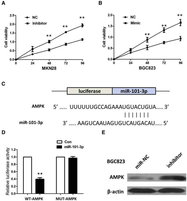 Figure 6