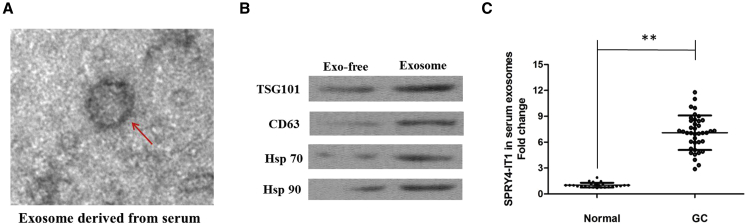 Figure 7