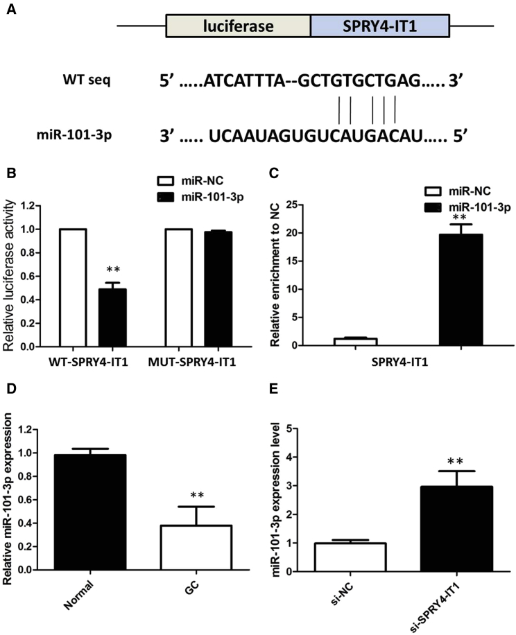 Figure 5