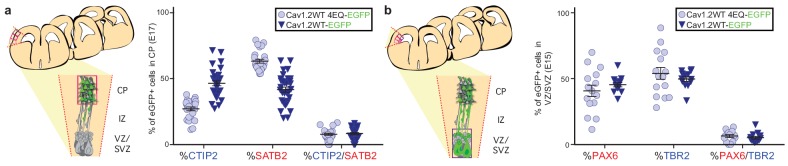 Figure 3—figure supplement 1.