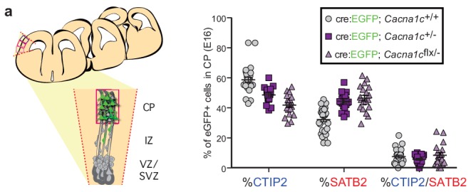 Figure 4—figure supplement 1.