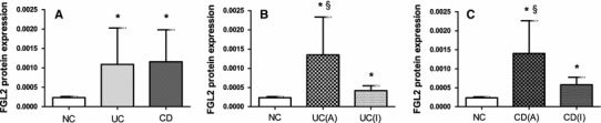 Fig. 2