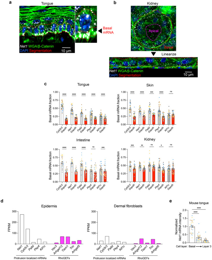 Extended Data Fig. 1: