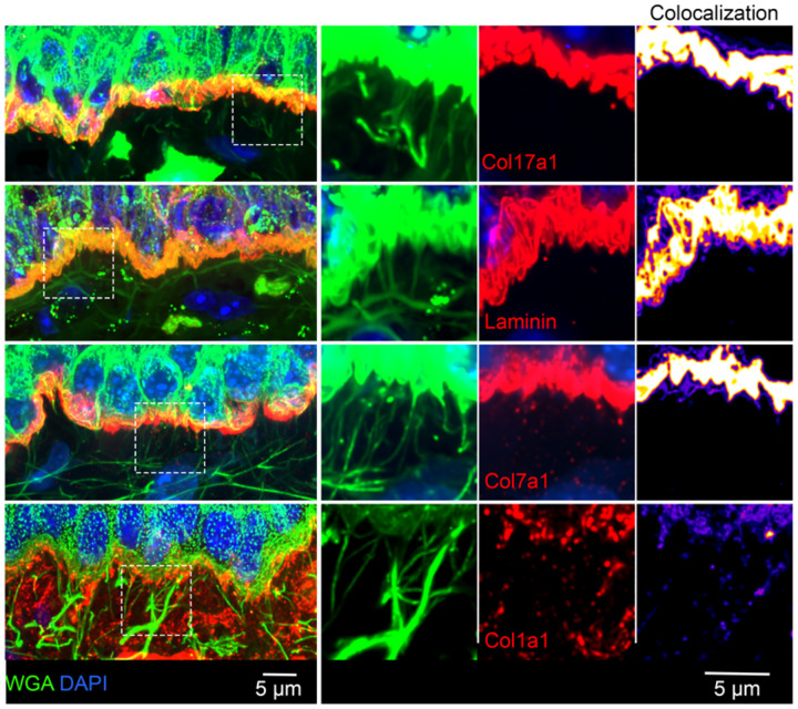 Extended Data Fig. 2:
