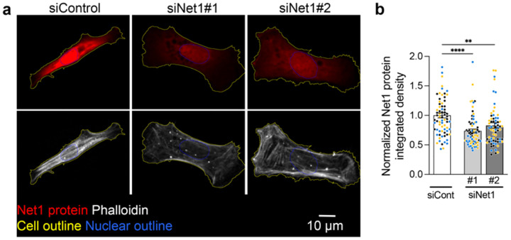 Extended Data Fig. 6: