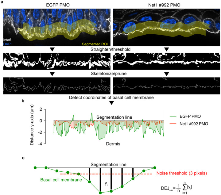 Extended Data Fig. 5: