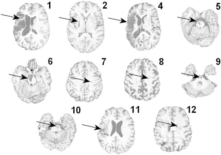 Figure 2.