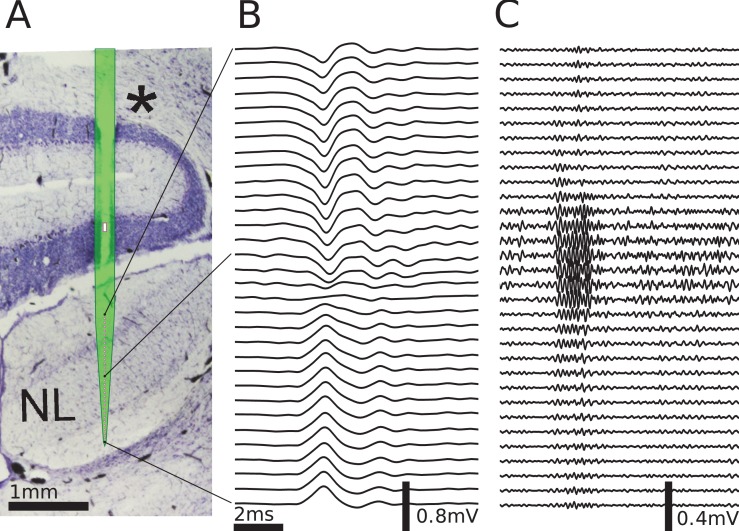 Figure 4.