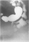 390