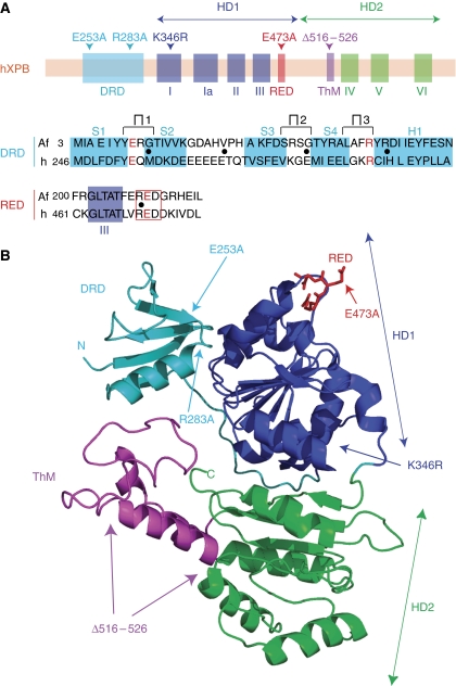 Figure 2