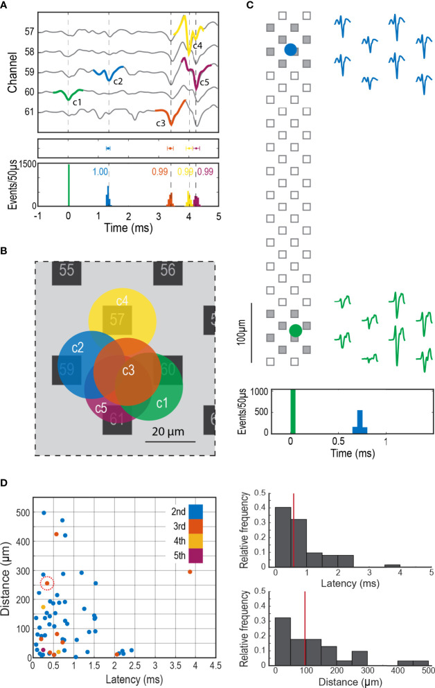 Figure 4