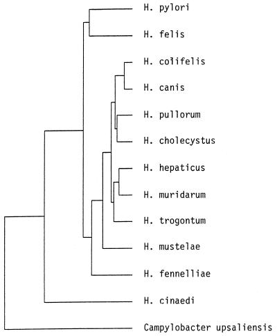 FIG. 3