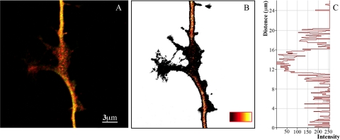 Figure 4.