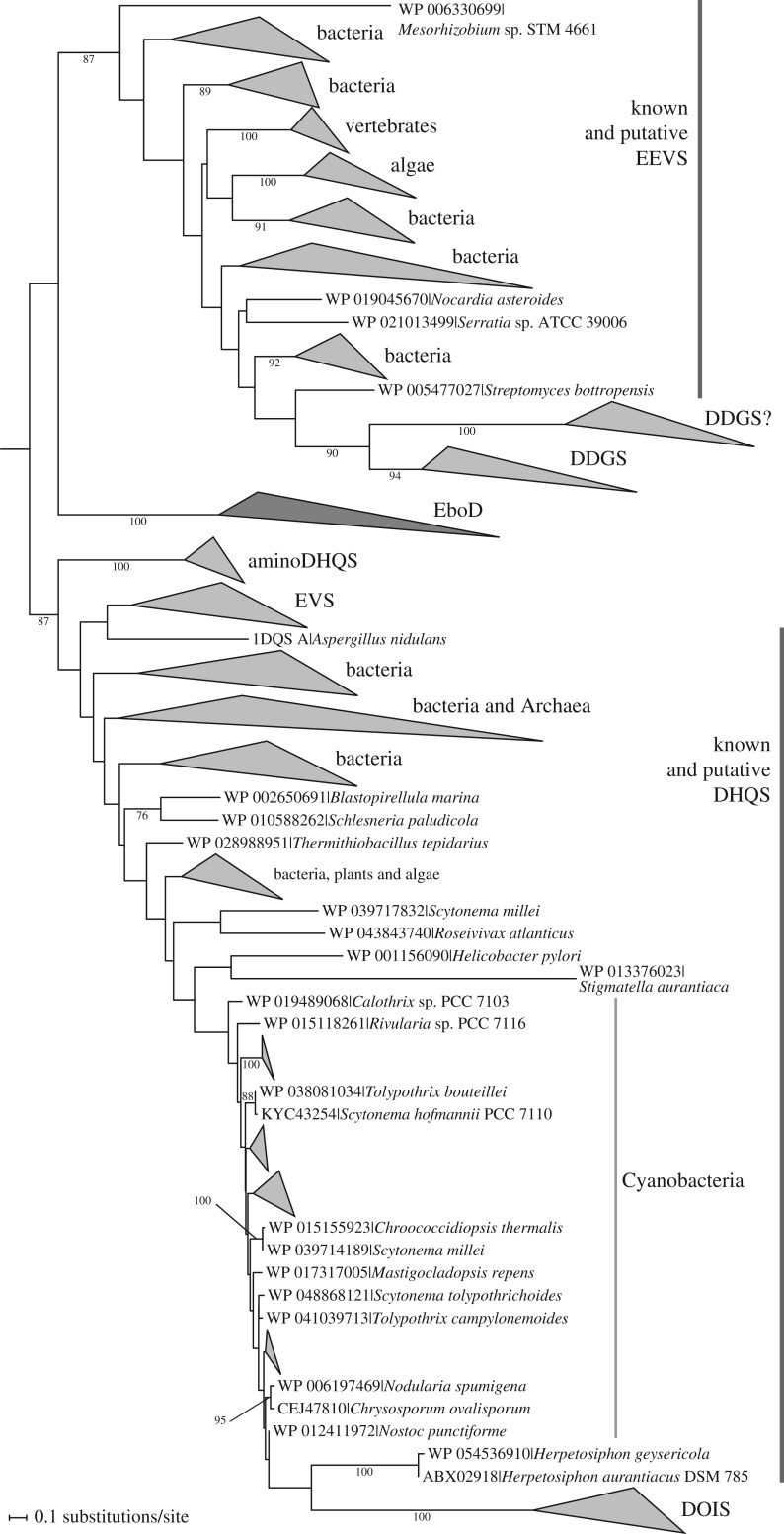 Figure 7.