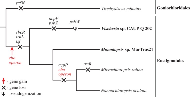 Figure 1.