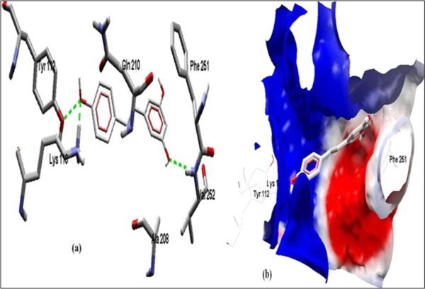 Figure 10