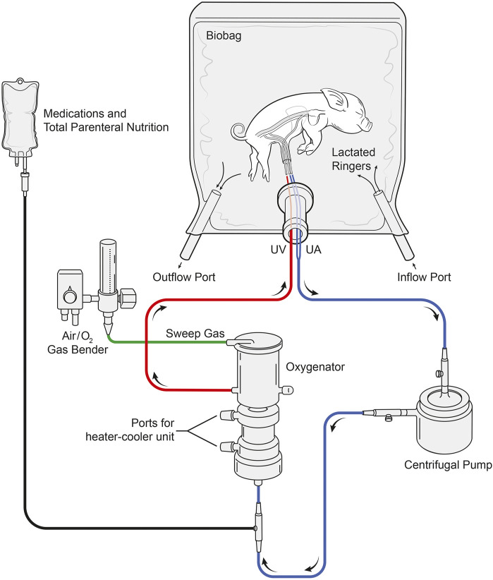 FIGURE 10