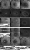Fig. 8