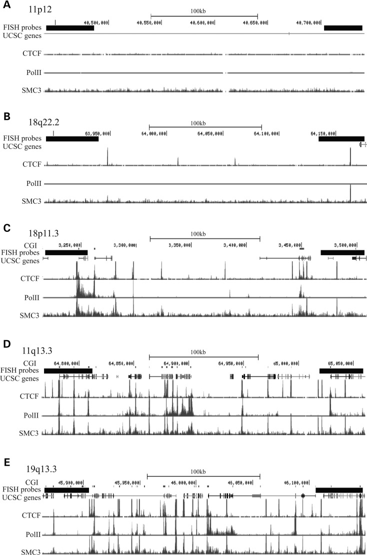 Figure 2.