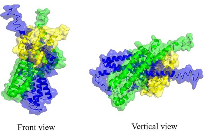 Figure 5