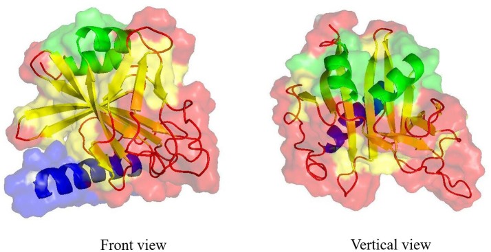 Figure 6