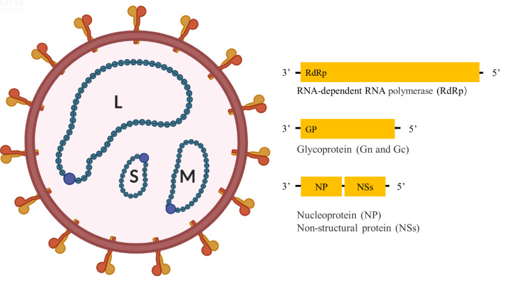 Figure 1