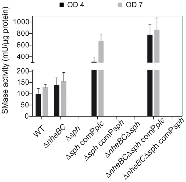 Figure 5