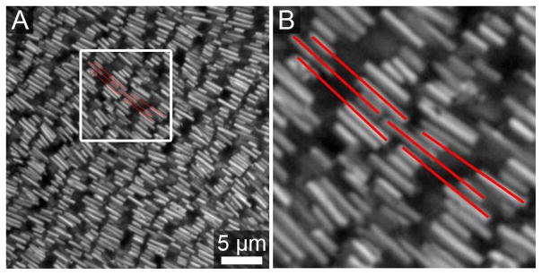 Figure 15