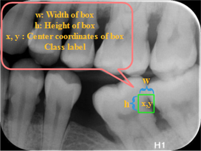 Fig. 3