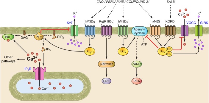 FIGURE 1.