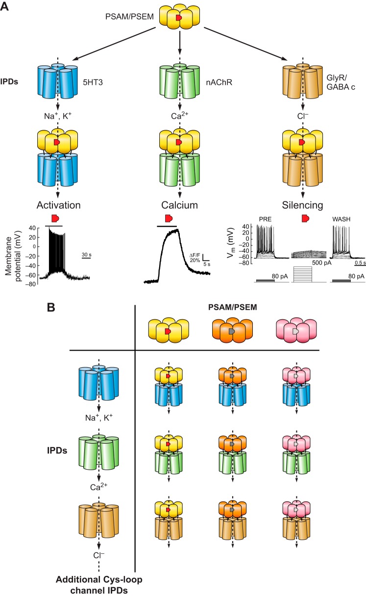 FIGURE 6.