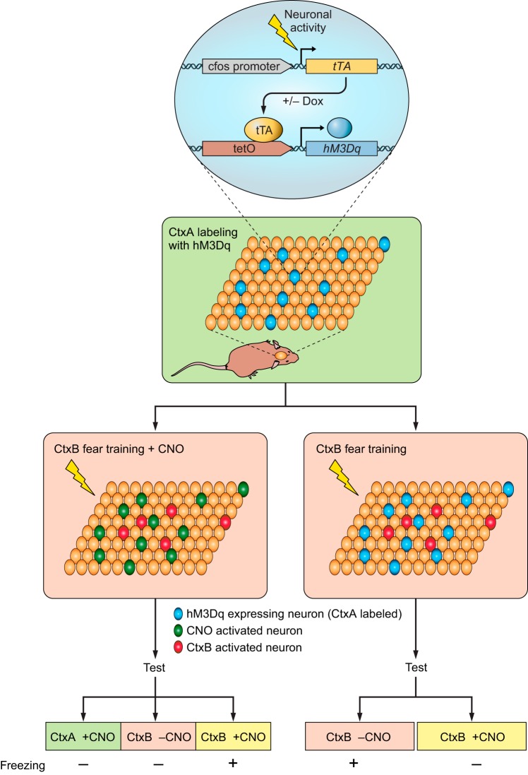 FIGURE 4.