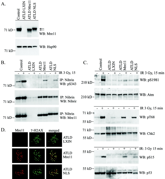 FIG. 4.