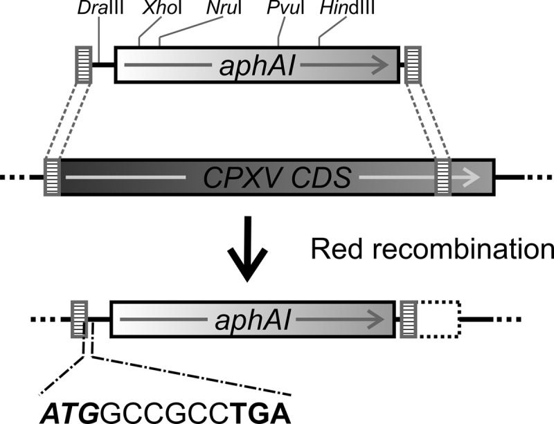 FIG 2