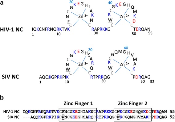 Fig. 1