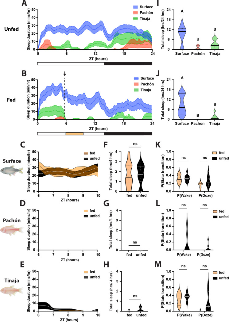 Figure 5: