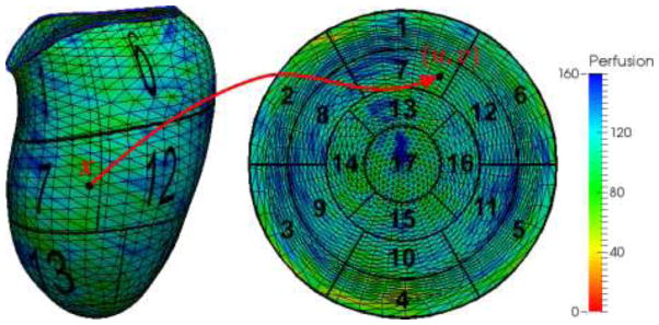 Fig. 7