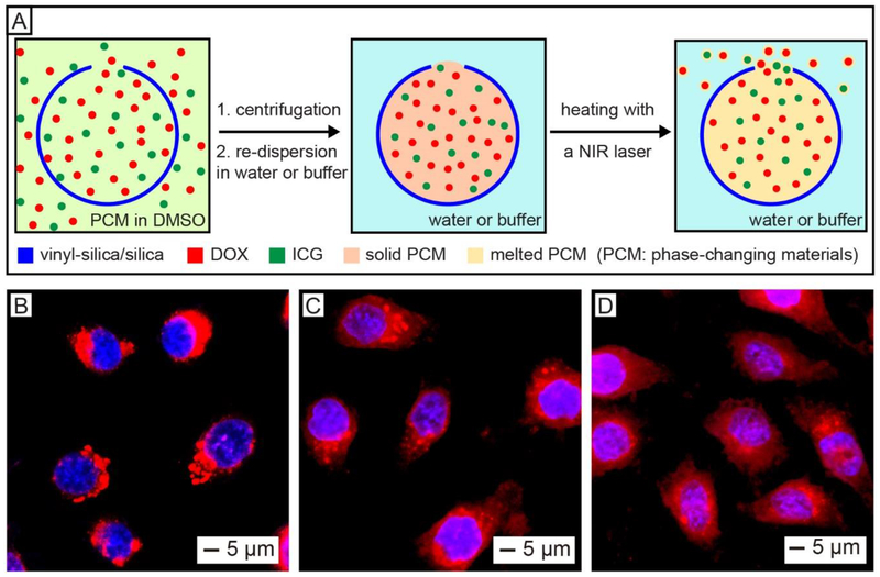 Figure 10.