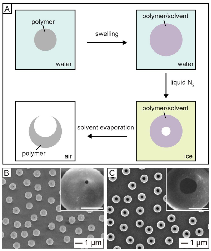 Figure 6.