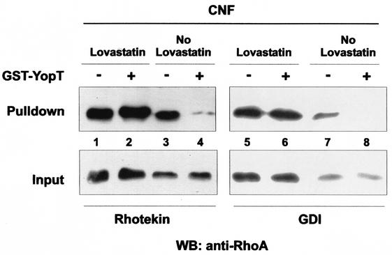 FIG. 5.