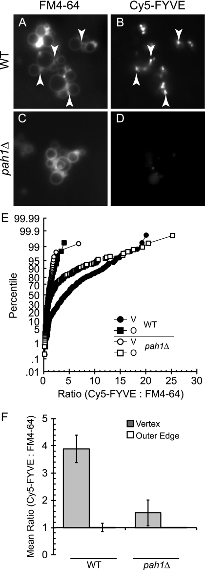 FIGURE 10.