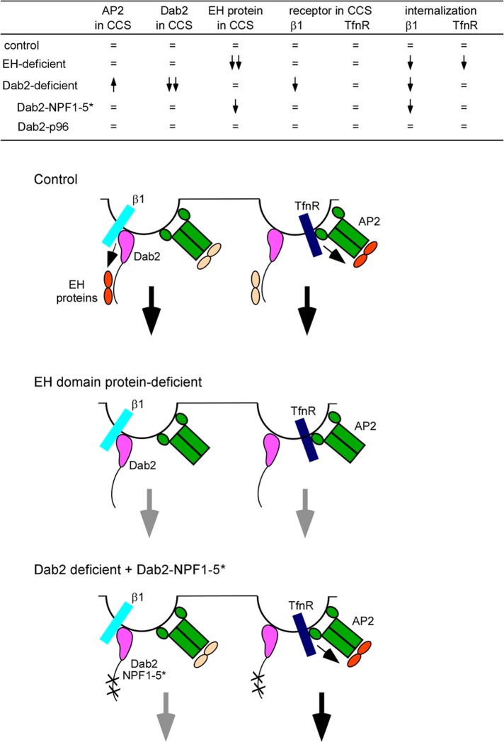 FIGURE 6: